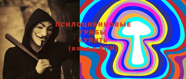 mdpv Кодинск