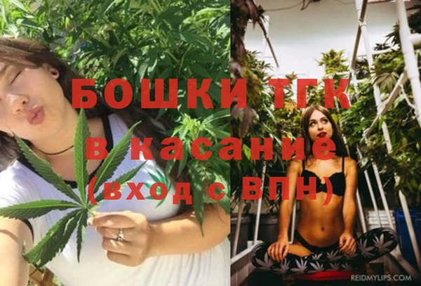 мдпв Корсаков
