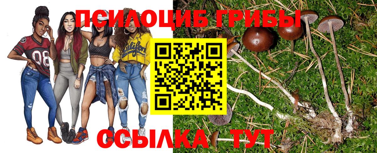 Галлюциногенные грибы MAGIC MUSHROOMS  Вход с VPN  Кыштым  Псилоцибиновые грибы ЛСД 